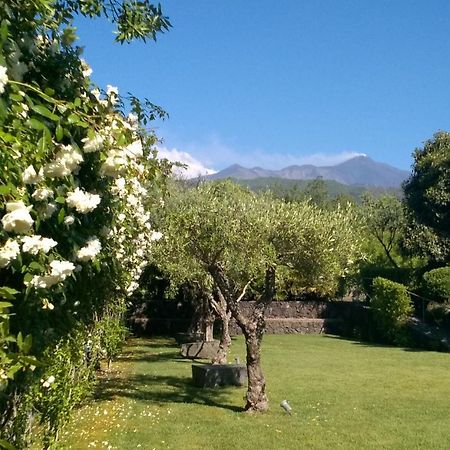 Casa Vacanze Prato Verde 제프라나에트니아 외부 사진
